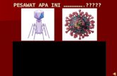 Biologi: Ciri Virus