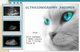 Jurnal USG Radiologi