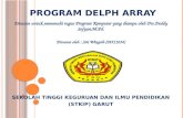 Program Delphi Array