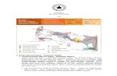 Koridor Ekonomi Papua-Kep Maluku