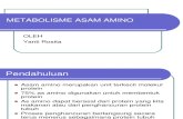 METABOLISME ASAM AMINO1