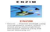 ENZIM - NEW