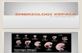 Bahan Tambahan - Embriologi Dan Anatomi Kuliah 2008