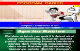 Program Rabies Di Puskesmas