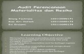 Audit an - Materiality & Risk