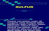 Sulfur Ppt