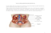 Anatomi Sistem Urogenital