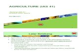 2-Agriculture IAS 41- Dwi Martani