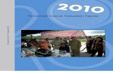 Pemerintah Daerah Kabupaten Kapuas 2010