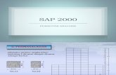 SAP 2000 Pushover)