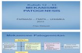 (Mikro) Kuliah 12 - 13 Patogenesis