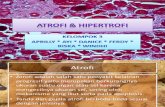 ATROFI & HIPERTROFI
