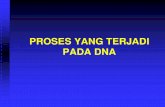 Proses Di DNA