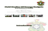 Field Studies of Energy Budgets