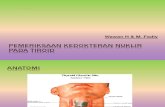 Pemeriksaan Kedokteran Nuklir Pada Tiroid