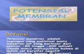 POTENSIAL MEMBRAN. presentasi 1