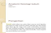 Kosmetik Anatomi Fisiologi Kulit