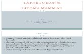 LAPSUS LIPOMA