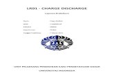 LR01-Charge Discharge