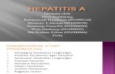 Hepatitis a Tugas KLPK