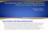 Anatomi Dan Fisiologi Sistem Pencernaan Manusia