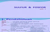 Sulfur Dan Fosfor_30!8!07