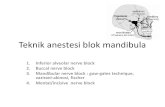 Teknik Anestesi Blok Mandibula