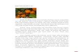 manajemen agribisnis komoditi jeruk