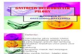 Patologi Anatomi Slide Gastritis Helicobacter Pilory