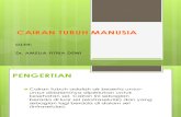 2. CAIRAN TUBUH MANUSIA