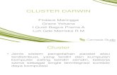 Cluster Darwin