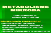 Metabolisme Mikroba (Drg. Depi)