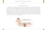 Tugas Anatomi - Amenorea