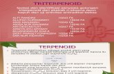 Triterpenoid Ppt