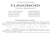 Flavonoid (Trevor Robinson)2
