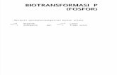 Biotek Pertanian II - Biotransformasi Unsur p, n, s Revisi 1