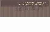 Meat Drying Ppt