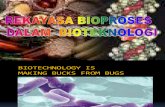 Rekayasa Bioproses Dalam Bioteknologi