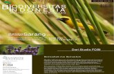 Bio Divers It As Indonesia Edisi 1-1-2011