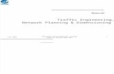 02. Traffic Engineering-Network Planning and Dimensioning_3
