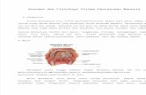 Anatomi Dan Fisiologi Sistem Pencernaan Manusia Nuari