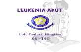 Leukemia Presentasi