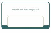Methan Dan Methanogenesis n