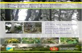 Buku Pengenalan Pohon Sulawesi