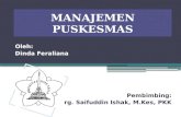 Manajemen Puskesmas-dinda Feraliana_0607101050064