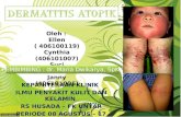 Dermatitis Atopik-referat Fk Untar