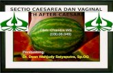 Sectio Caesarea Dan Vaginal Birth After Caesarean Chandra