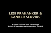 Lesi Prakanker & Cacx Rev