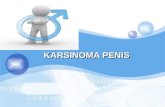Karsinoma Penis