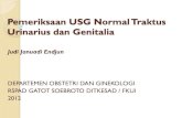 FK UNS OBGIN USG 1j. Pemeriksaan USG Normal Traktus Urinarius dan Genitalia, JJE 20120513